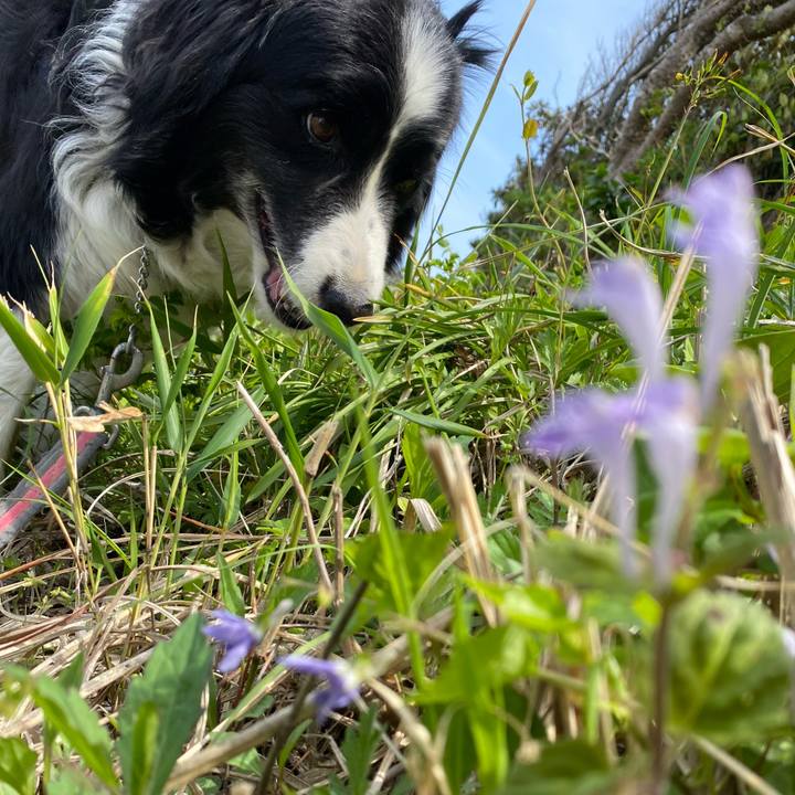 8ba80309 1798 4589 b39f f7f4837f2ecb 1650860926739