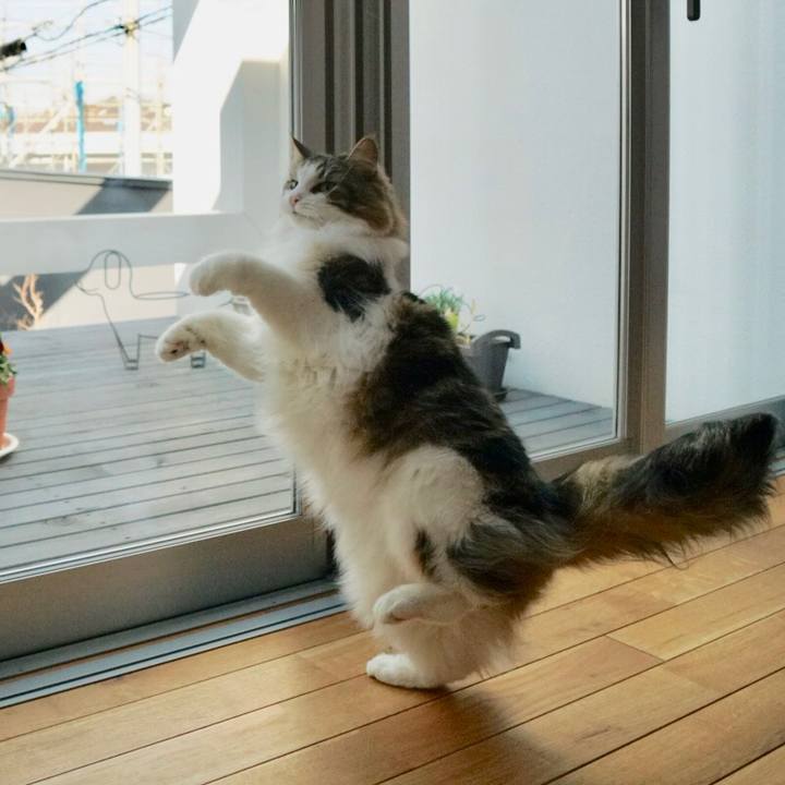 8ba81d6d 896c 41eb b86c 94d41f9450bc 1551006401768