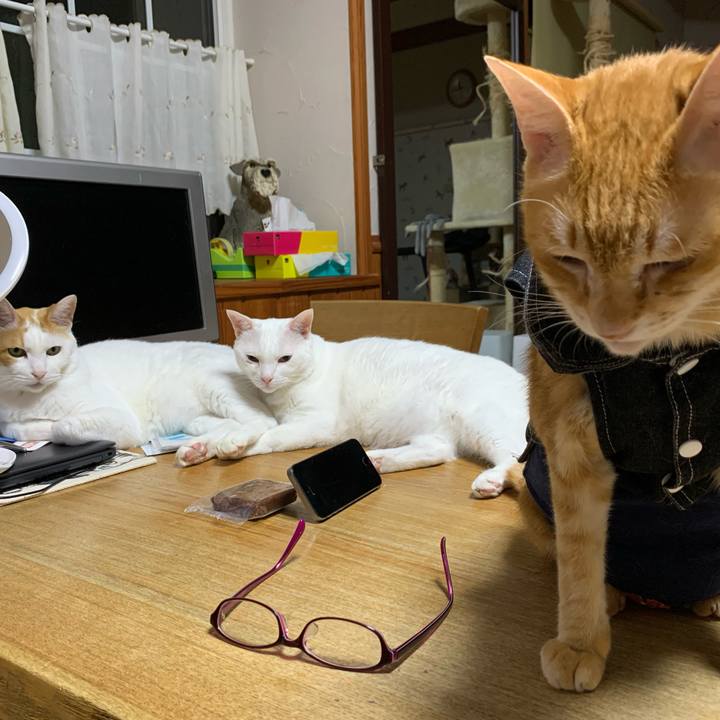 8ba8376f a149 4407 a14d 7bba2bb0992f 1624979735314