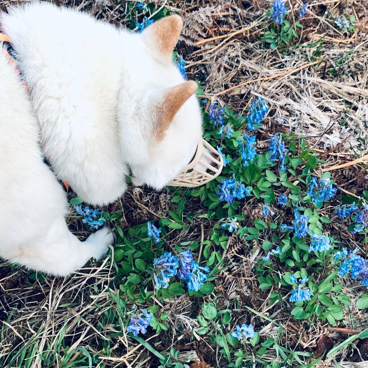 8ba84330 506f 4a71 a3e9 59e10927e215 1650229004408