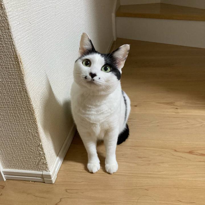 8ba8d062 1752 4767 a10c cec26ec39ca9 1760214226582