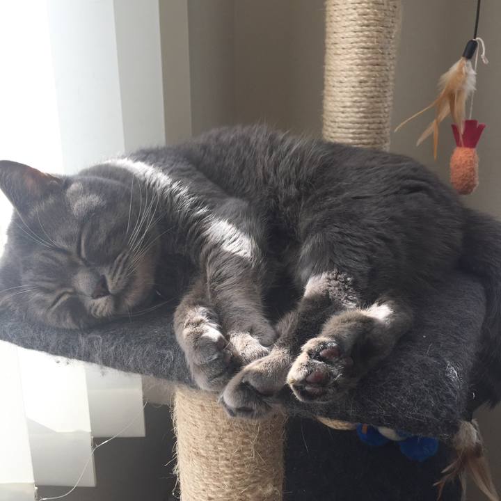 8ba8fa73 d33b 4032 a6fc e85632af314e 1520640617443