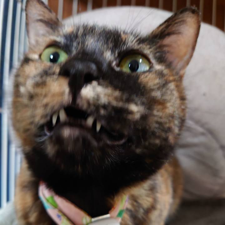 8ba9836f bf0b 4a34 94e2 58041c94102e 1645918824367