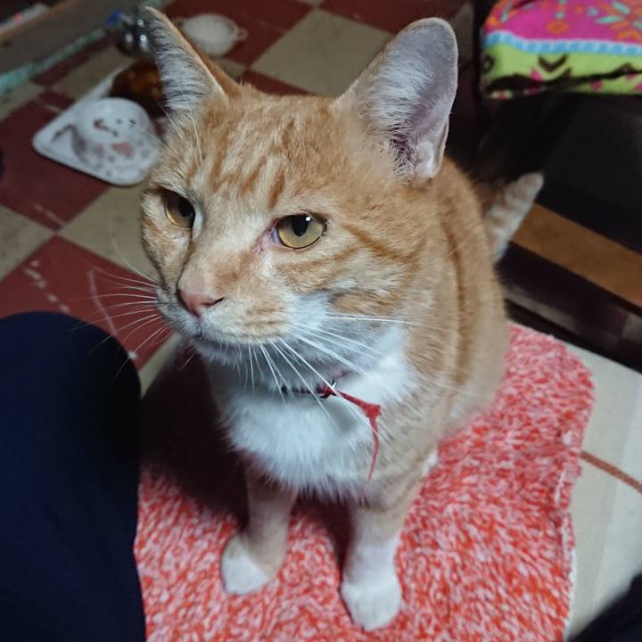 8ba9b9de dfa3 4d9e b625 12ba2c4a4a68 1571390889278