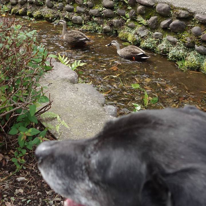 8ba9c04b e44f 4047 a7ad 6263815cb075 1748219830767