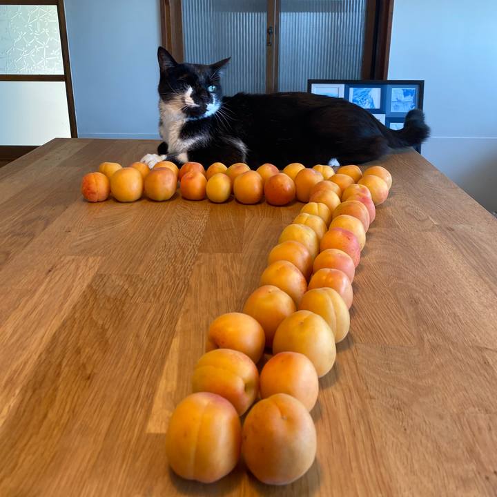 8ba9cc79 9774 4a47 a4bf 4caad031778f 1687300955949