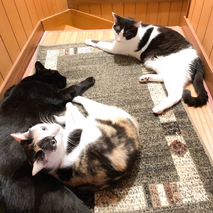 8ba9f268 869d 4f0f aa6a d4e784eccd00 1571881661152