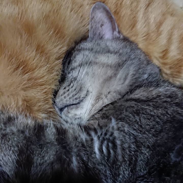 8baa0709 5eaa 48da ab38 506d7e1c13d1 1576328153784