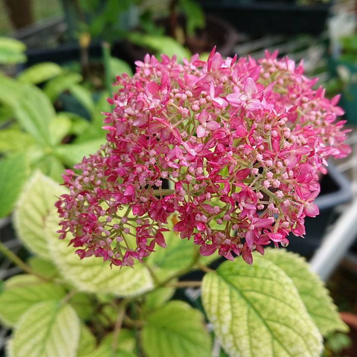 8baa1e90 528a 41ad 9f0b faea94d25fa5 1653609689802