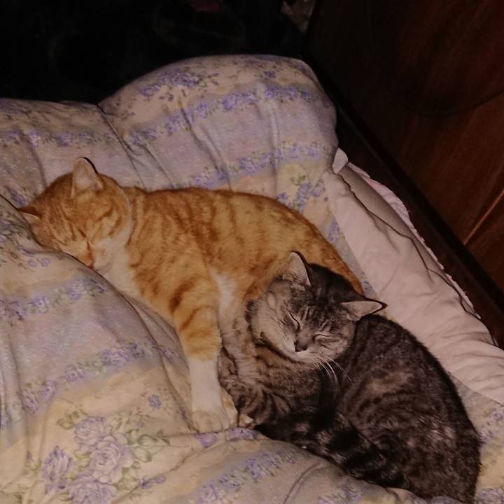 8baa2f9a 0e50 4465 95df 41eb370a722f 1583340633143