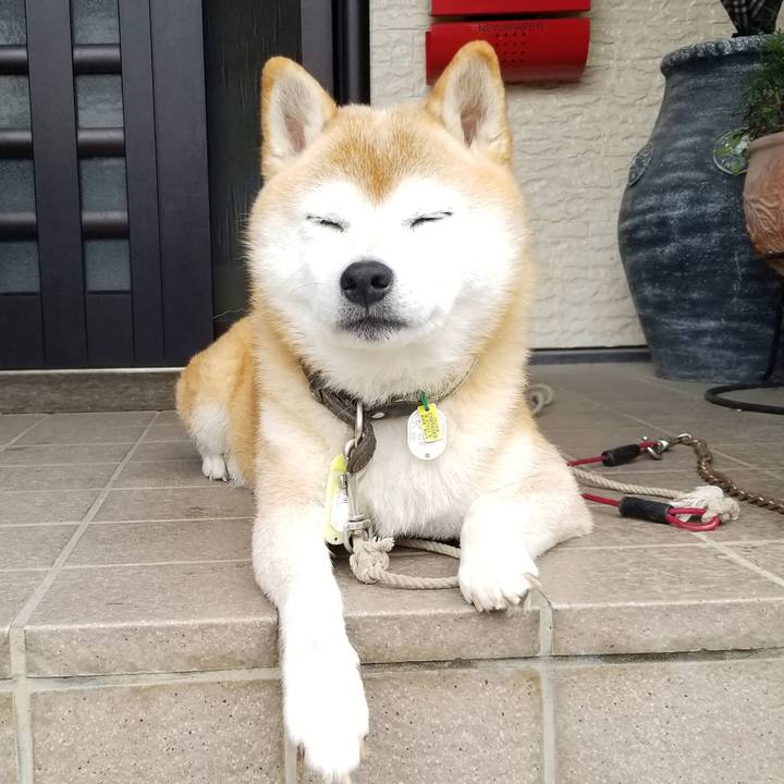 8baa5f99 bba3 4eff a70f 7aff3ae594ad 1662594115178