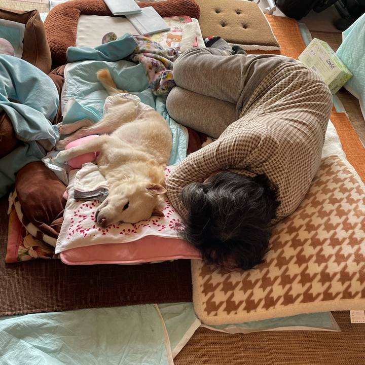 8baa71af 7664 419b 832b a8b62d36fd7c 1678254062498