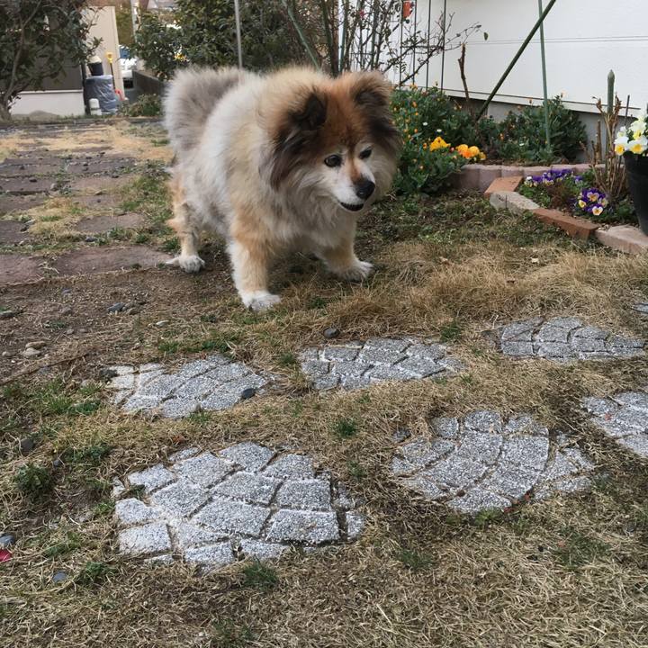 8baa7861 996f 4602 becf d2e084249f86 1553933244915