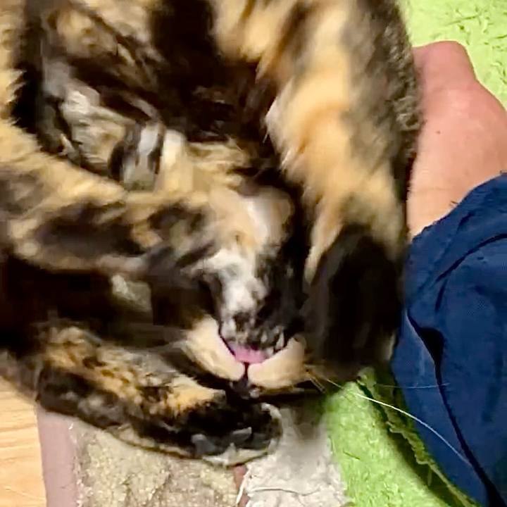 8baa8365 3307 4e16 a36c 0ba2d0344fbb 1740774759867