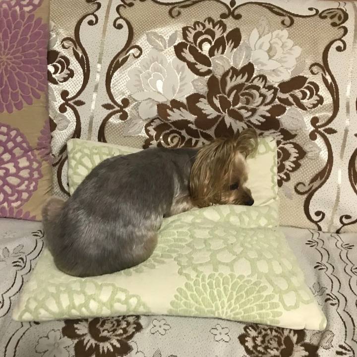 8baaf736 9d73 45a4 a21c 17d6dc18eb59 1558433776962