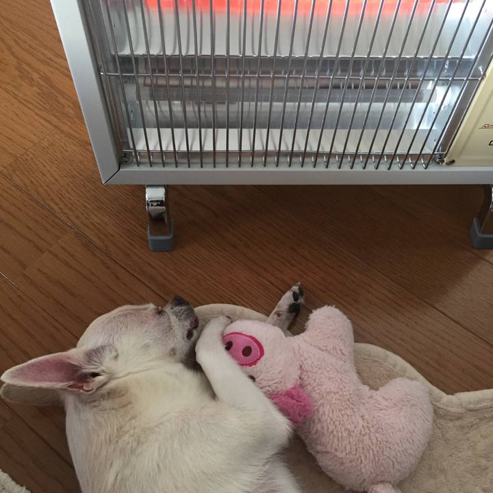 8bab05a1 bc22 41de bd41 ee5040f1665e 1512193668722