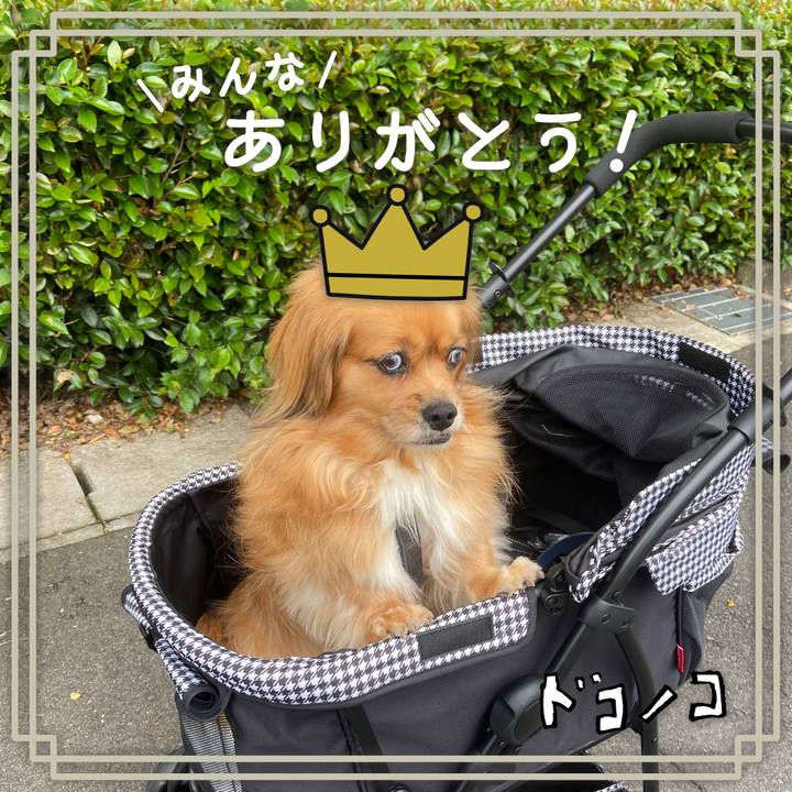 8bab43cf 3bcb 40e7 adf9 4c815aef24a2 1622933897906