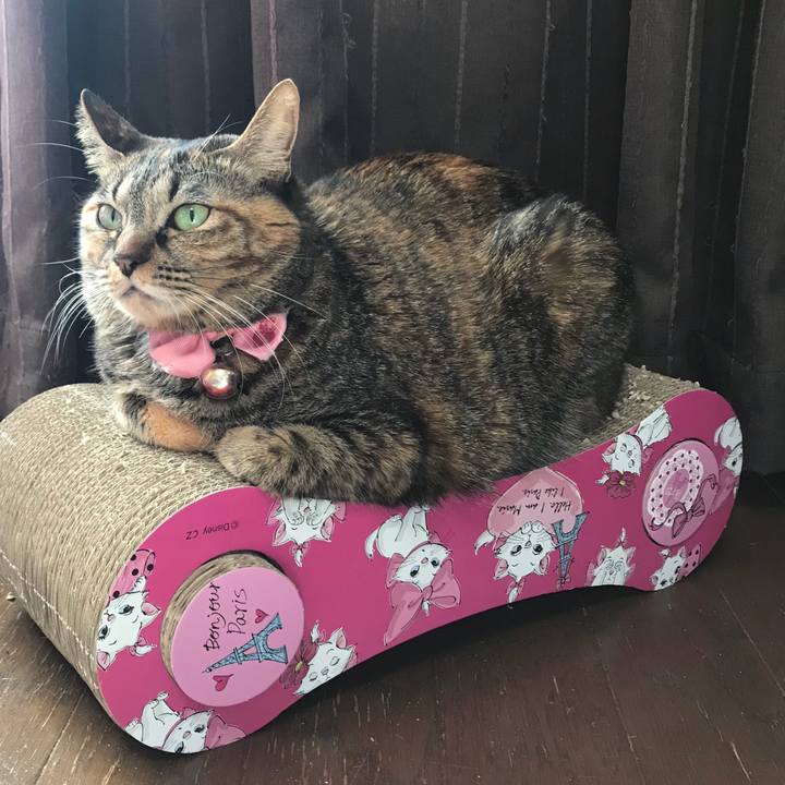 8babc76f 38f9 4056 b351 8d6964ead7e2 1513995159727