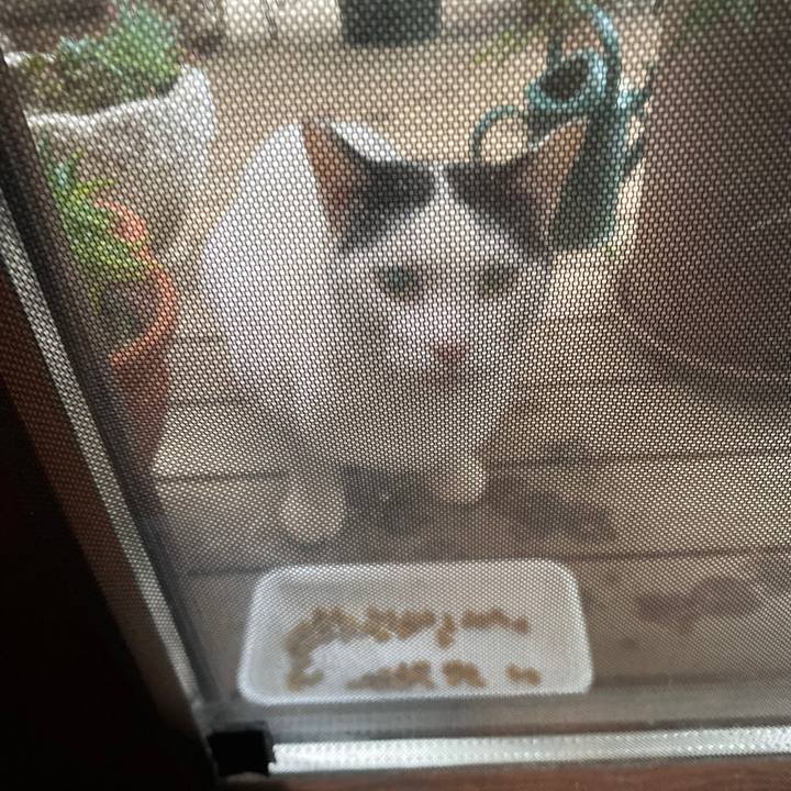 8babcb6e 766f 4a9d 91d4 6f6c3e6d956b 1603086307319