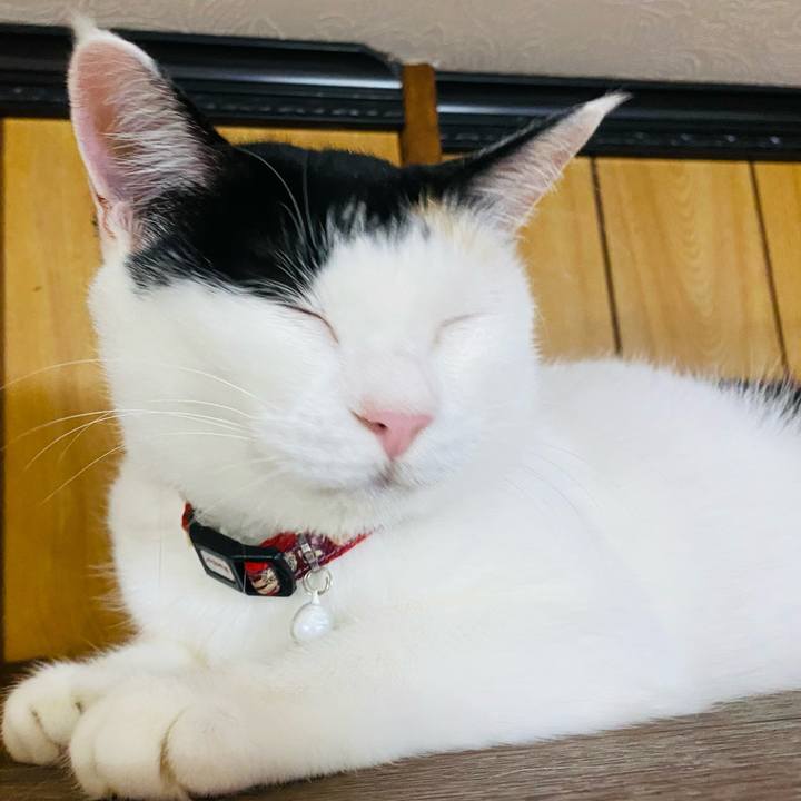 8babcc1a 9d58 453c 9451 9d83036d287f 1658662820545