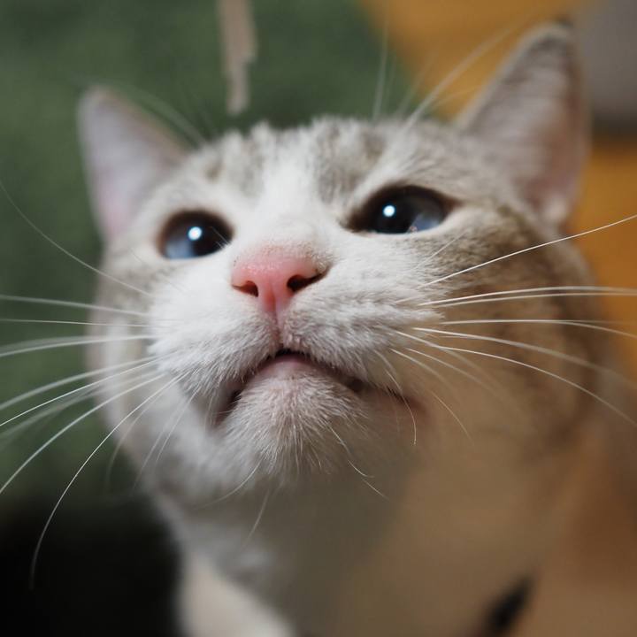 8babd6d5 4dc7 43b8 b49e 8c52be72a5dd 1603972441040