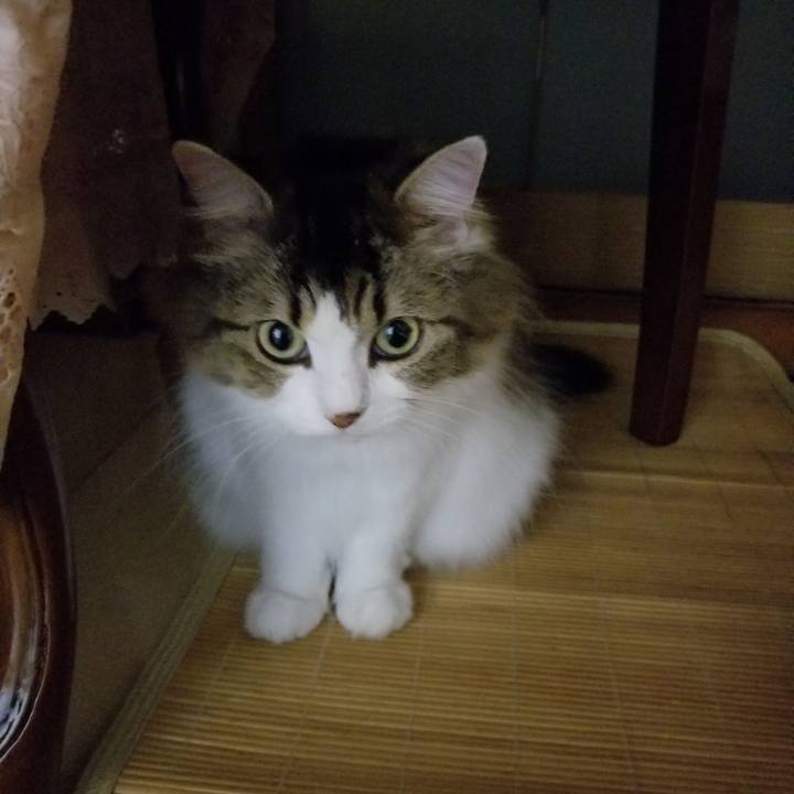 8babec62 a361 4bbb 9765 8e0734fdbeb0 1537886508460