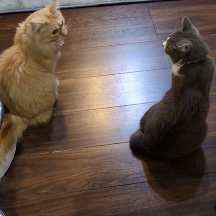 8bac2496 d7da 4271 82a1 3a1b886b31ce 1726662421030