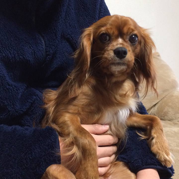 8bac3163 17f6 44cd bfee 9c2c01c3fe32 1517095618923