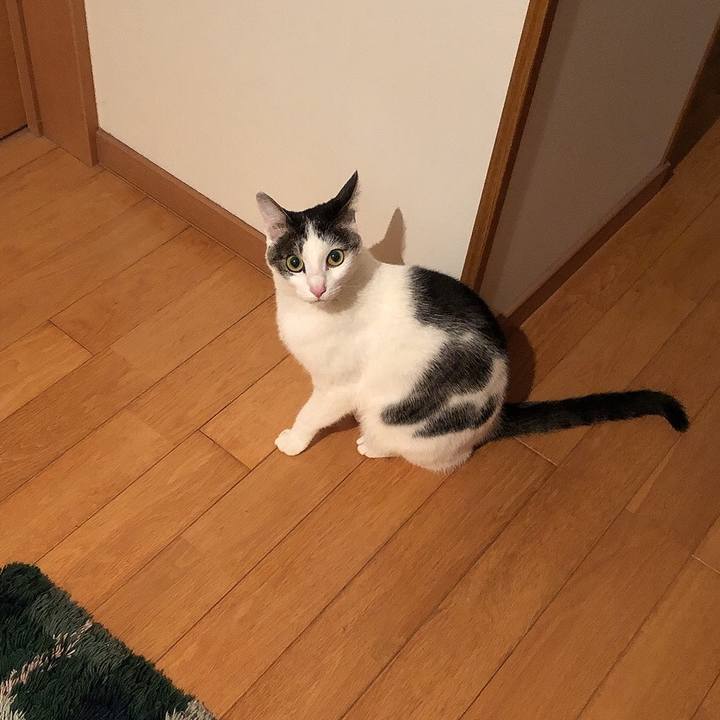 8bac45f8 4a52 4eda 95ff fc311cb09806 1649069716150