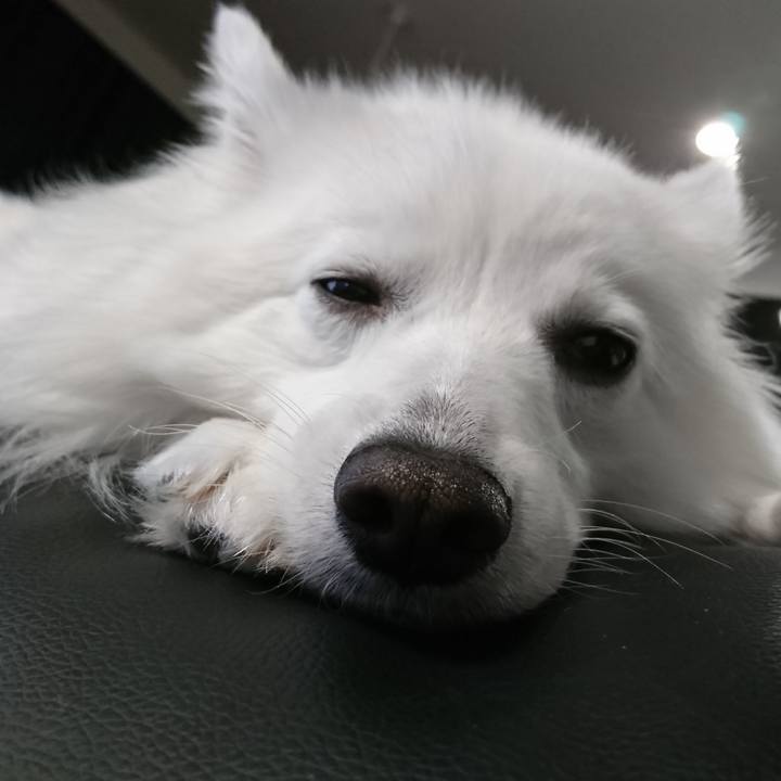 8bac957a bf76 4361 b1e1 70a5e4a853d3 1546841112338