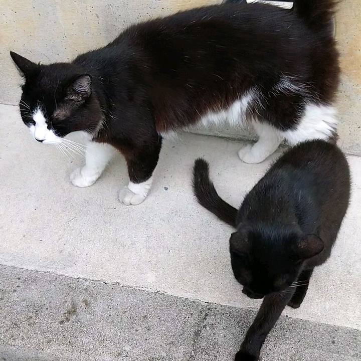 8bad048e 1fa9 46cf 9a89 209e0485d6cb 1592781663810