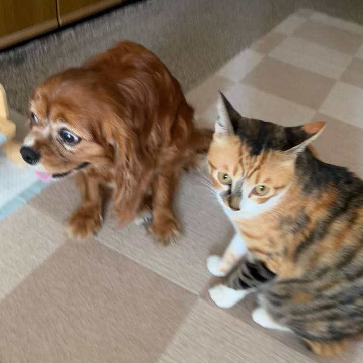 8bad34c2 54b4 4b14 89ff 3b400d086819 1713054348971