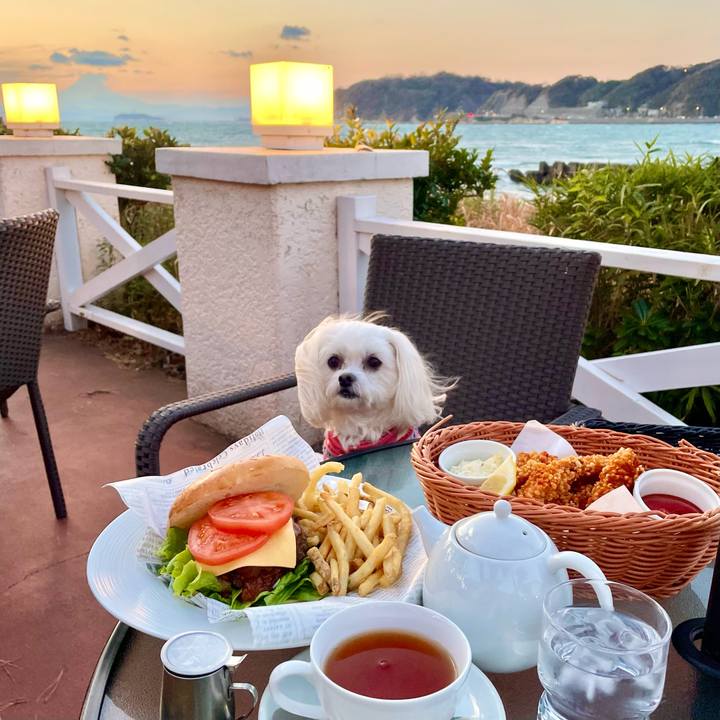 8bad4113 b2f6 4096 a441 3f0fa242f6cf 1640835262475