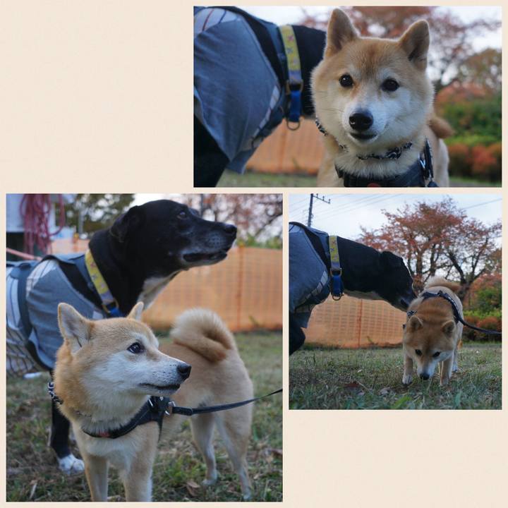 8bad4bba 0e86 4bb6 84b1 4d9b0766eb37 1763166565567