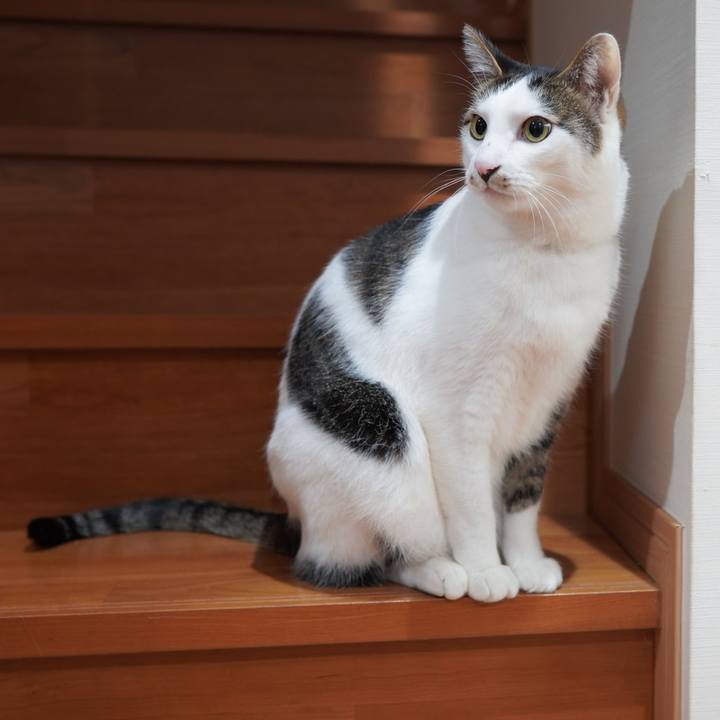 8bad62a6 0a9a 4470 8ed5 bccb54ebcc14 1583393602862