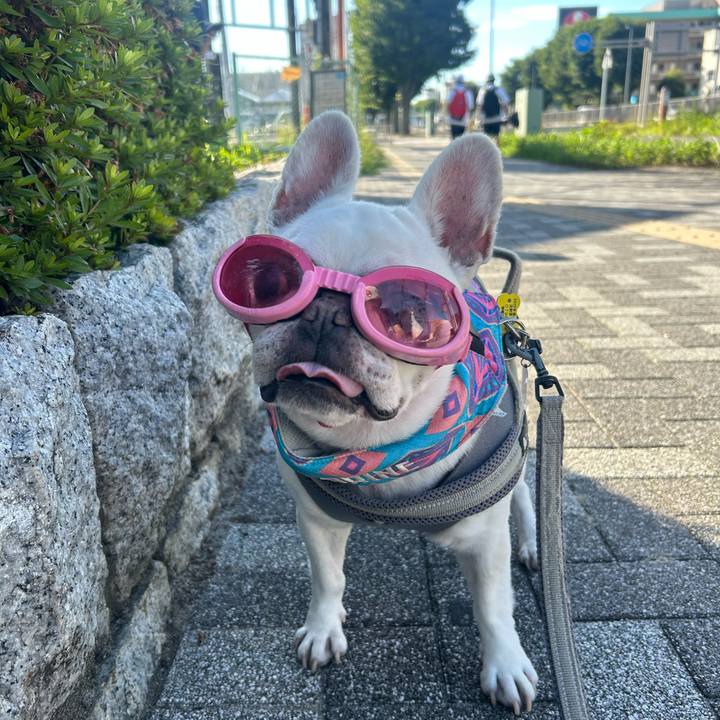 8bad9709 d510 4169 8dae f1cb431995c2 1752893977122