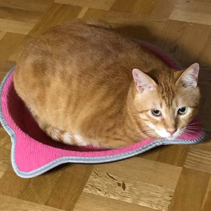 8badc47a 118d 4dab a6fc ff64191931fe 1568806787031