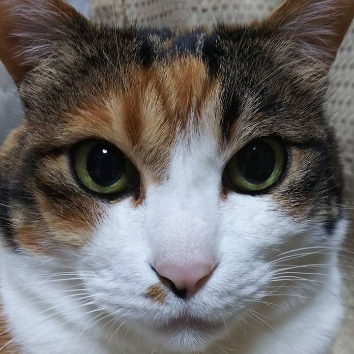 8badccf0 8b11 4831 8b82 9f9392ad3186 1558775130390