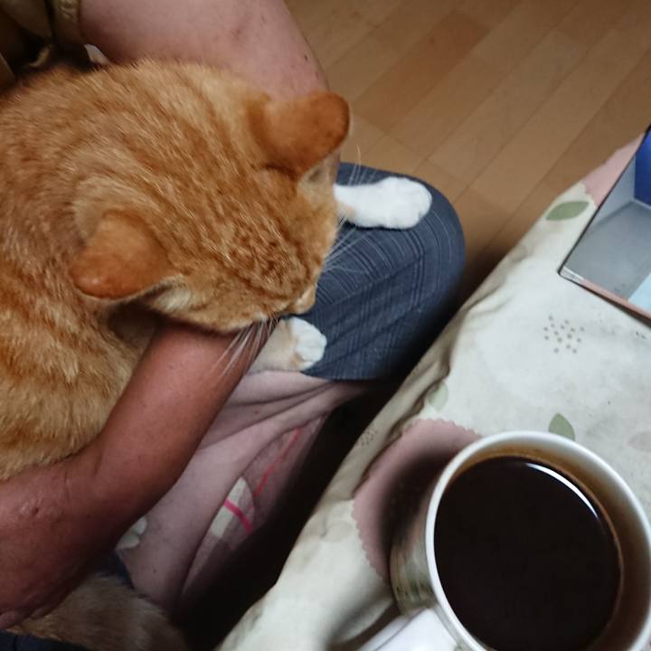 8bade032 35a3 4106 8bd4 999e7d13d73b 1598646194055