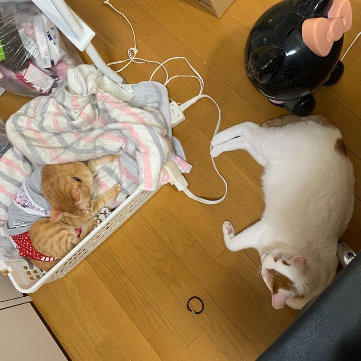 8bade91a ee80 4f75 93f5 52c32621b76a 1614256601601