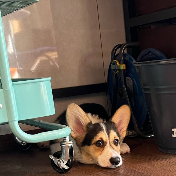 8badf6e1 81d6 43aa b3e8 e15a7e7a40bf 1773578867262