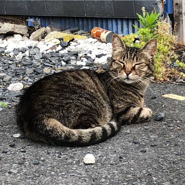 8bae14bf e070 4b4e 8d0d b53d65571291 1527498107715