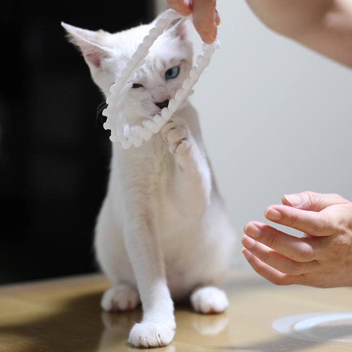 8bae90be 341e 495f ab74 09d80639c50d 1601777271105