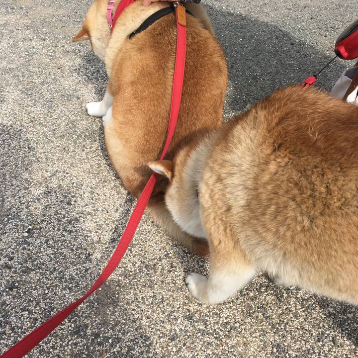 8baeb501 2a74 4ef3 be4e b1c050fb2c89 1616893063684