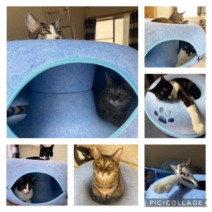 8baed827 e377 4fe8 baf1 822fc6d11235 1697953072498