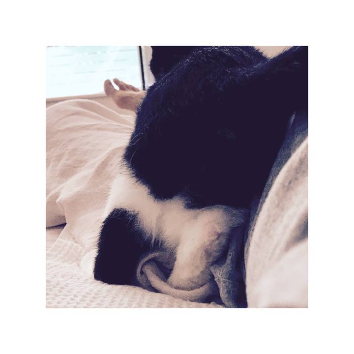 8baedb7c d949 46ad 96d3 93c9b87bd1f9 1626432174743