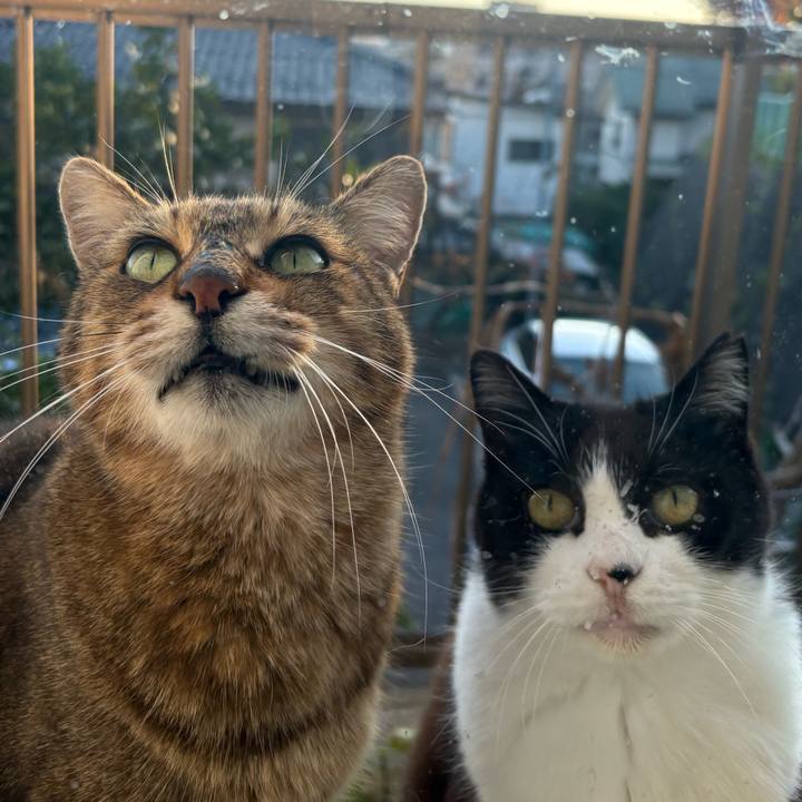 8baf180e 8a21 4a91 9b00 62511aa980ae 1764141320248