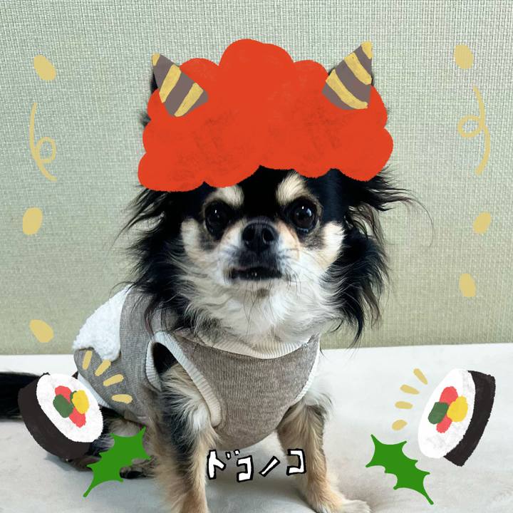 8baf1b82 1831 45a2 9fcc 126d5d3140c6 1706836107448