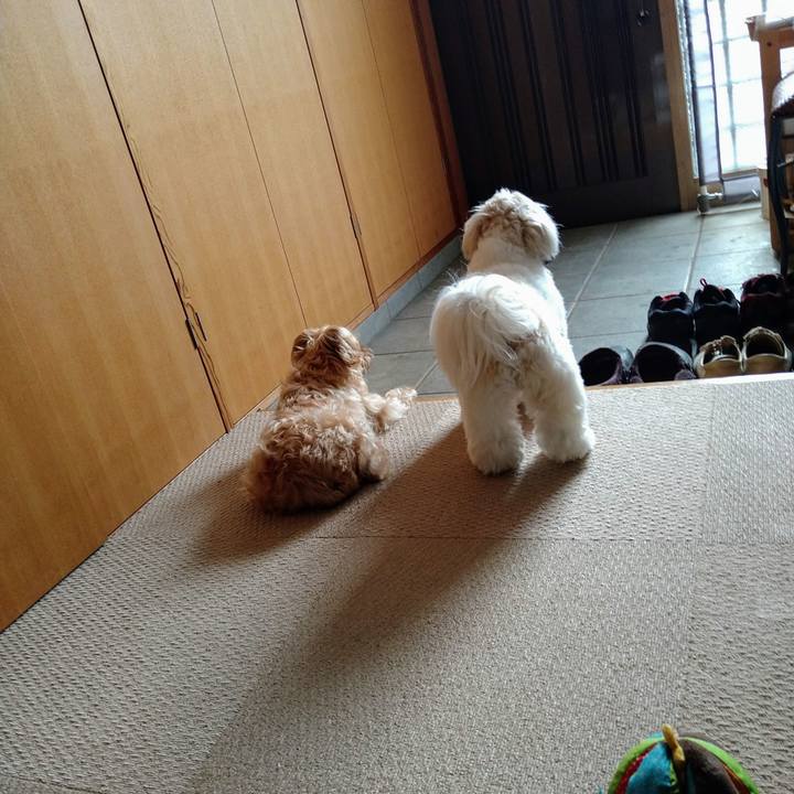 8baf2132 7f80 4465 b73a 64db2323607d 1617581256430