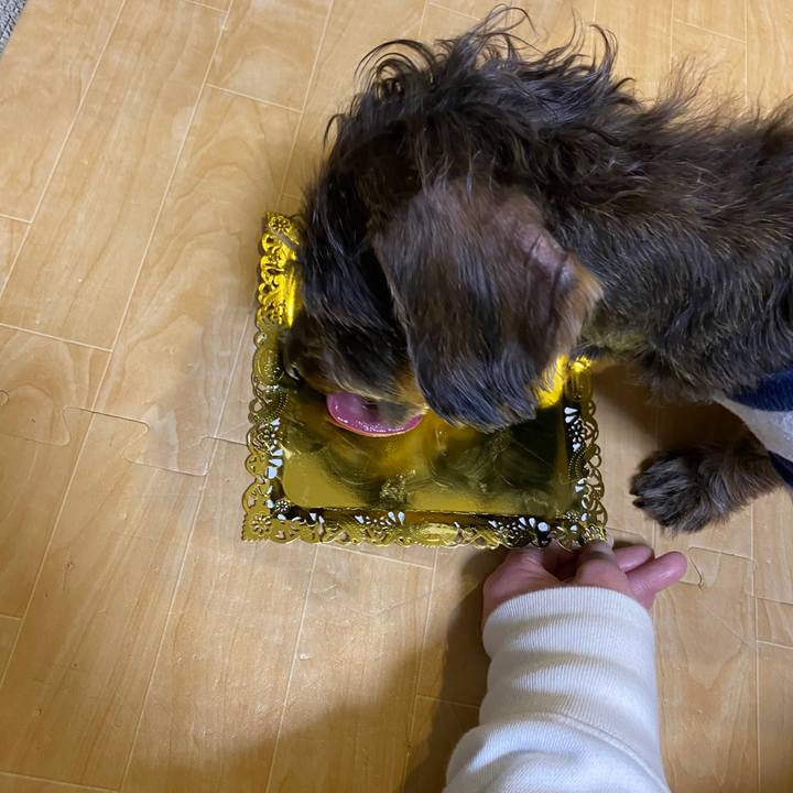 8baf77a5 4a5b 4aec 8034 316569f78d86 1580228119794